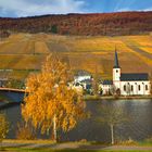 Piesport mit Dom im Herbst