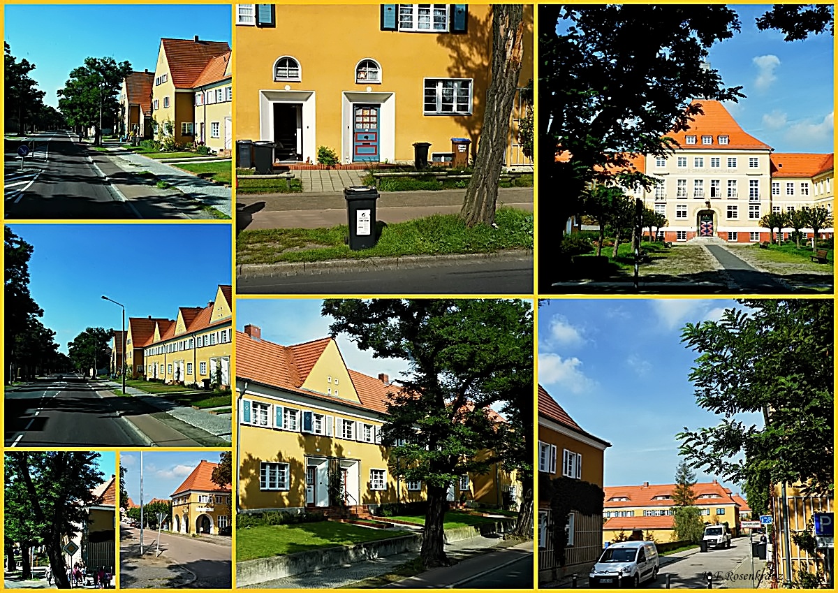 Piesteritzer Werkssiedlung Lutherstadt Wittenberg