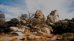 pietre in Joshua Tree National Park (MW 1998.12.30.I)