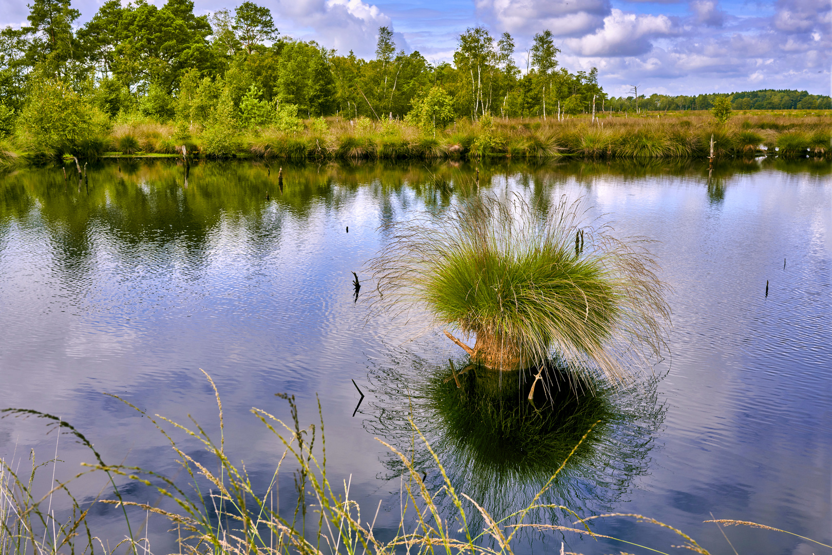 Pietz-Moor