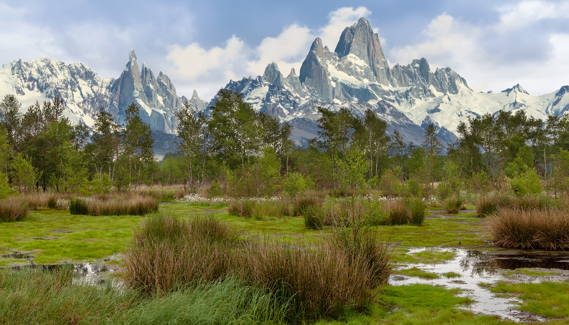 Pietzmoor 006 mit Alpen