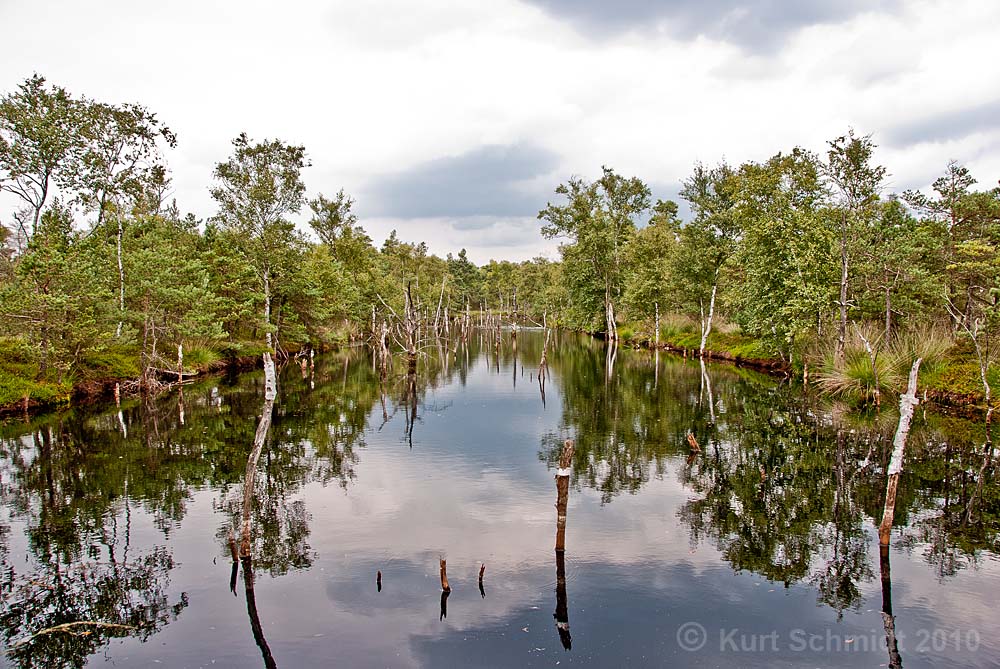 Pietzmoor