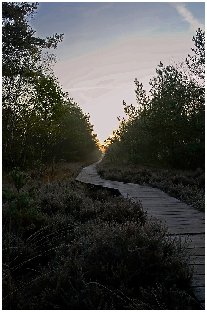 Pietzmoor Foto & Bild landschaft, moor, natur Bilder auf