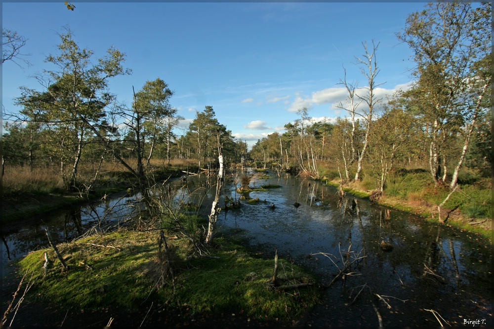 Pietzmoor