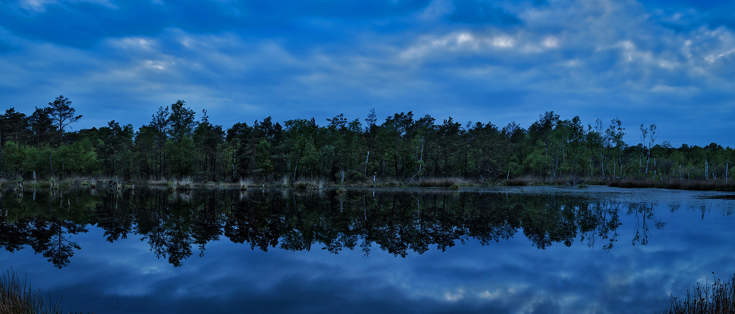 Pietzmoor am Abend 