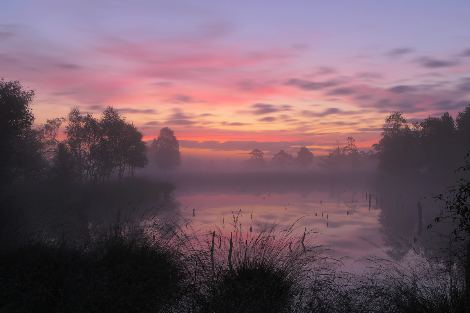 Pietzmoor am Morgen