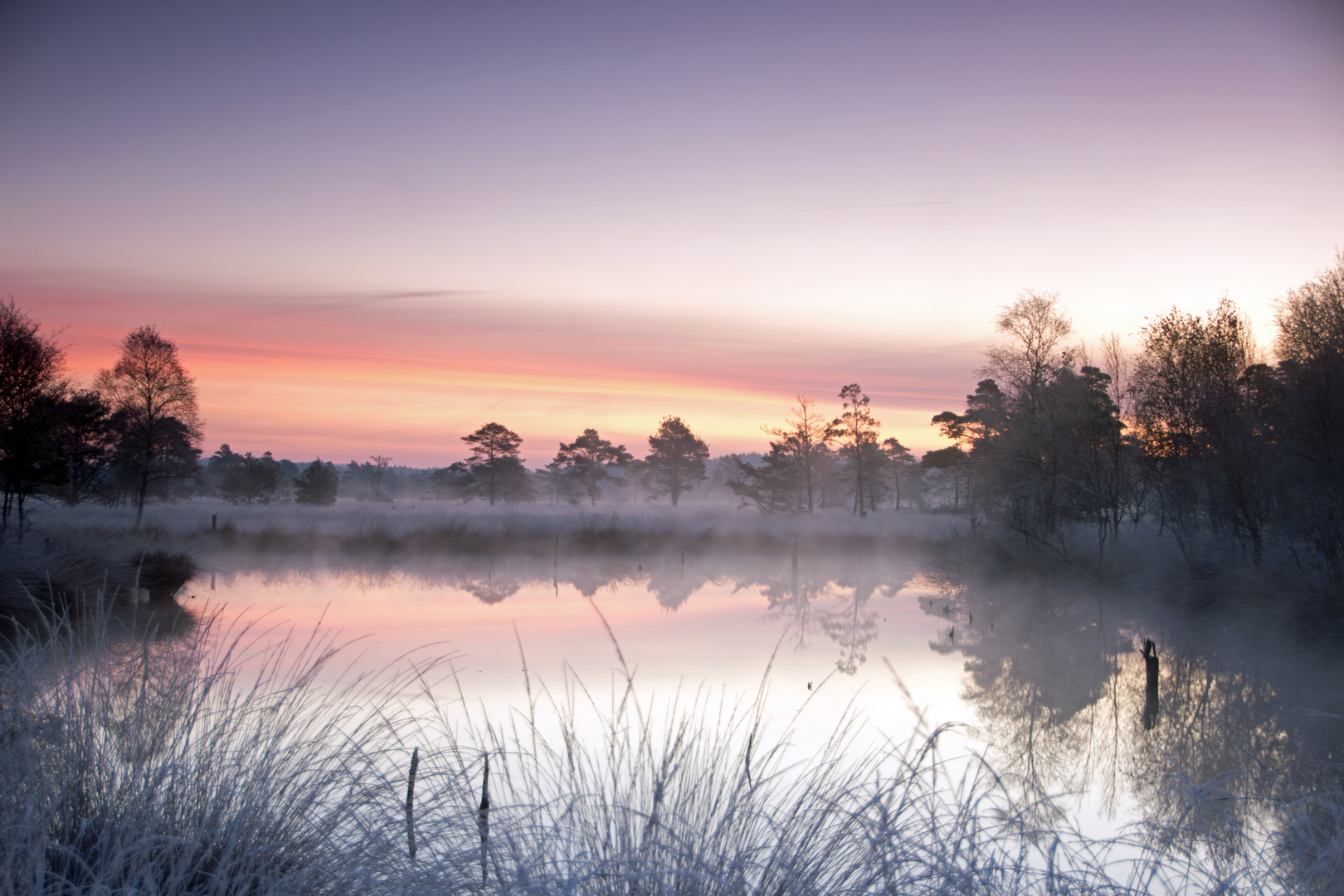 Pietzmoor im Morgenschein