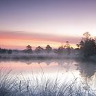 Pietzmoor im Morgenschein