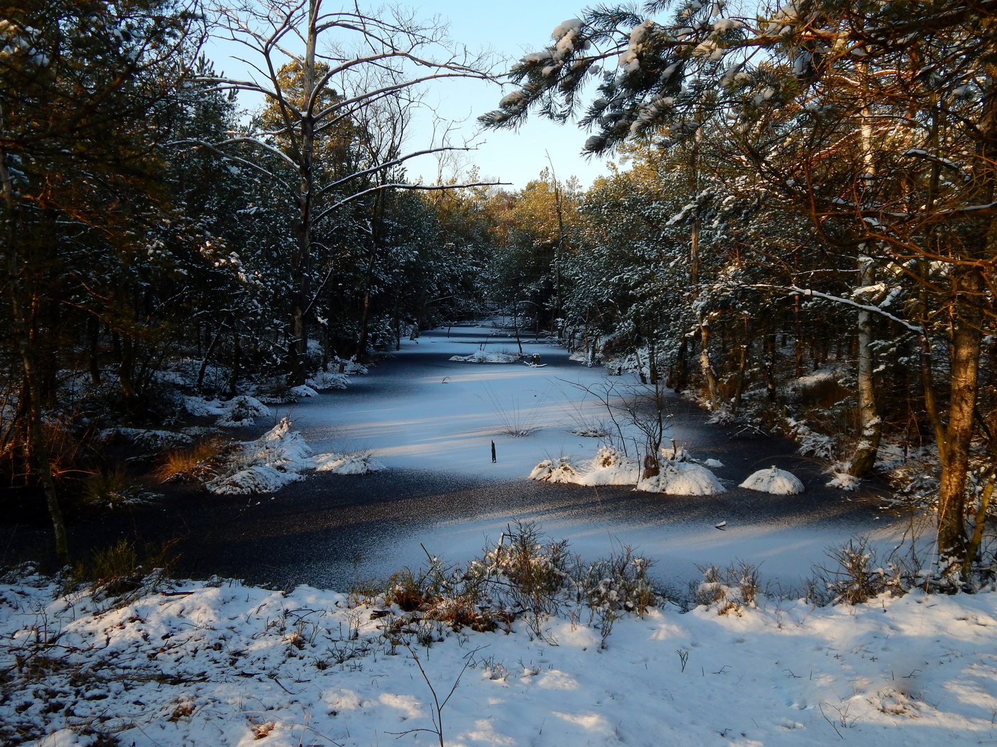 Pietzmoor im Winter