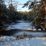 Pietzmoor im Winter