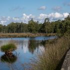 Pietzmoor nahe Schneverdingen