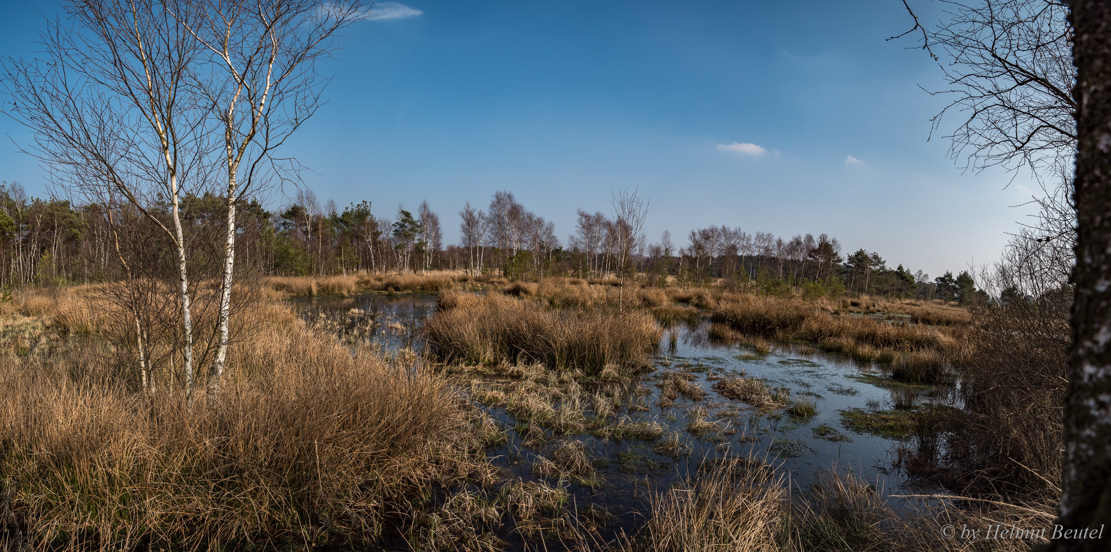 Pietzmoor Panoramablick