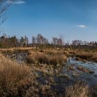 Pietzmoor Panoramablick