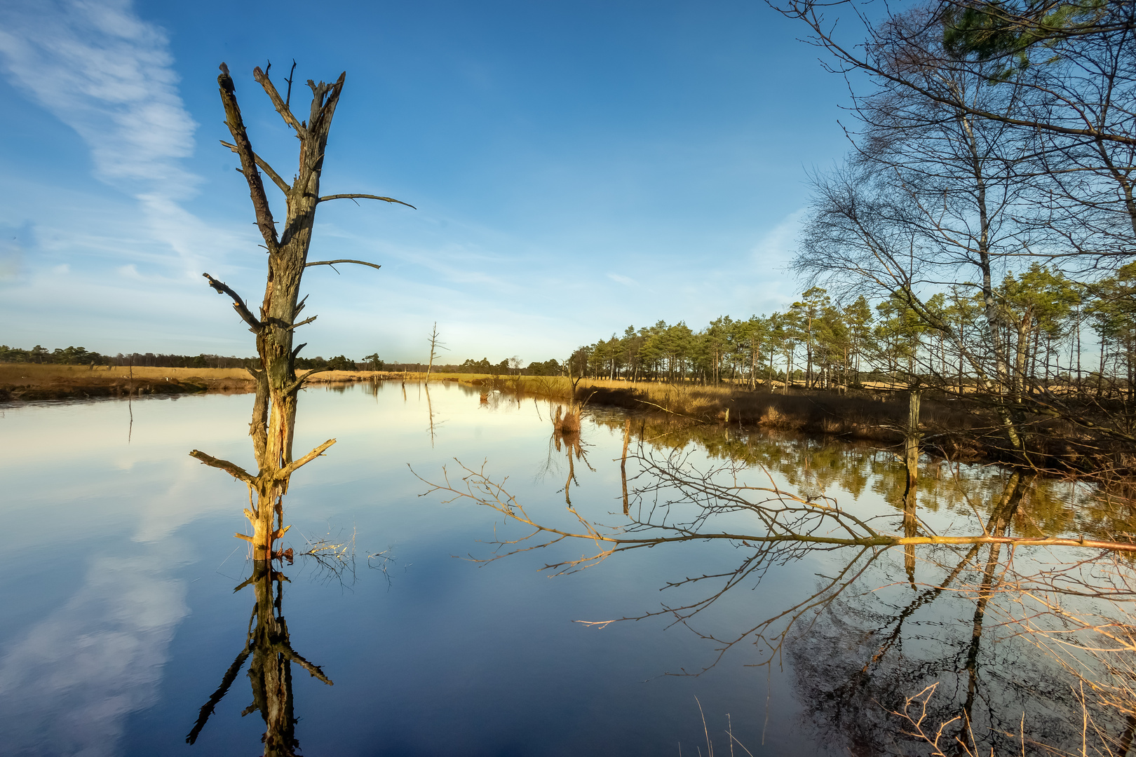 Pietzmoor Schneverdingen 