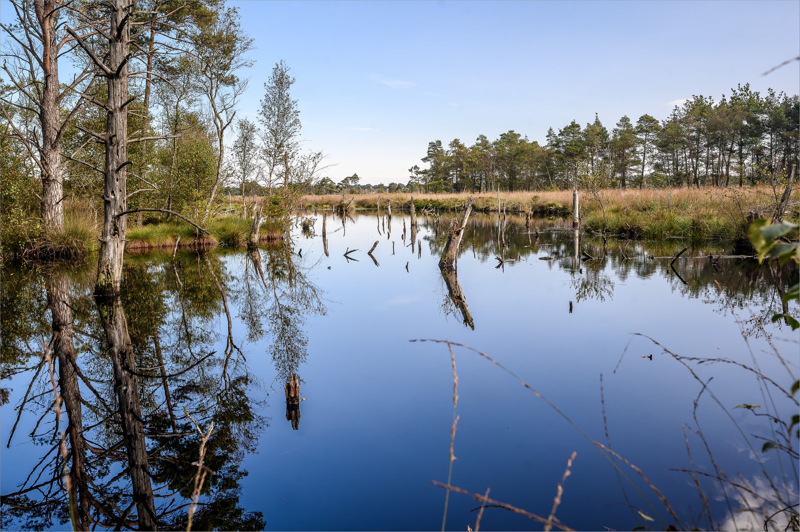 Pietzmoor, Schneverdingen