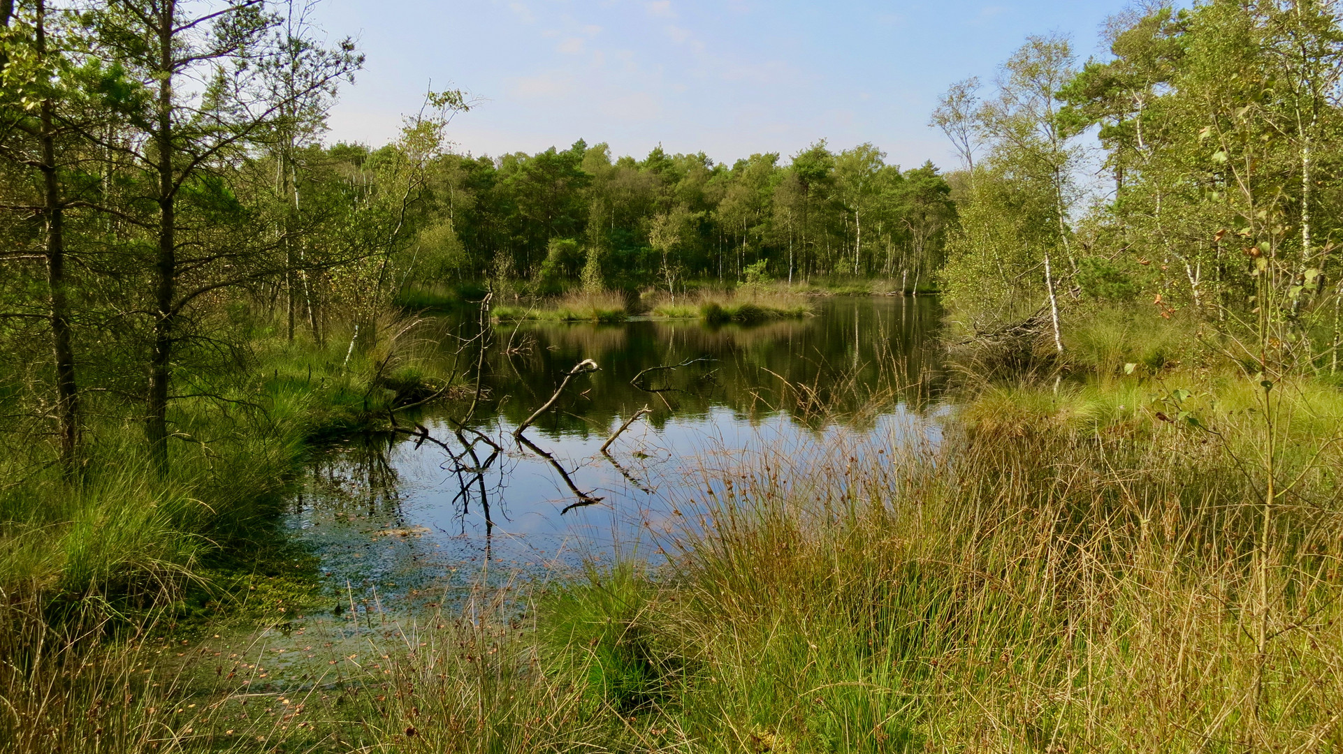 Pietzmoor - Schneverdingen