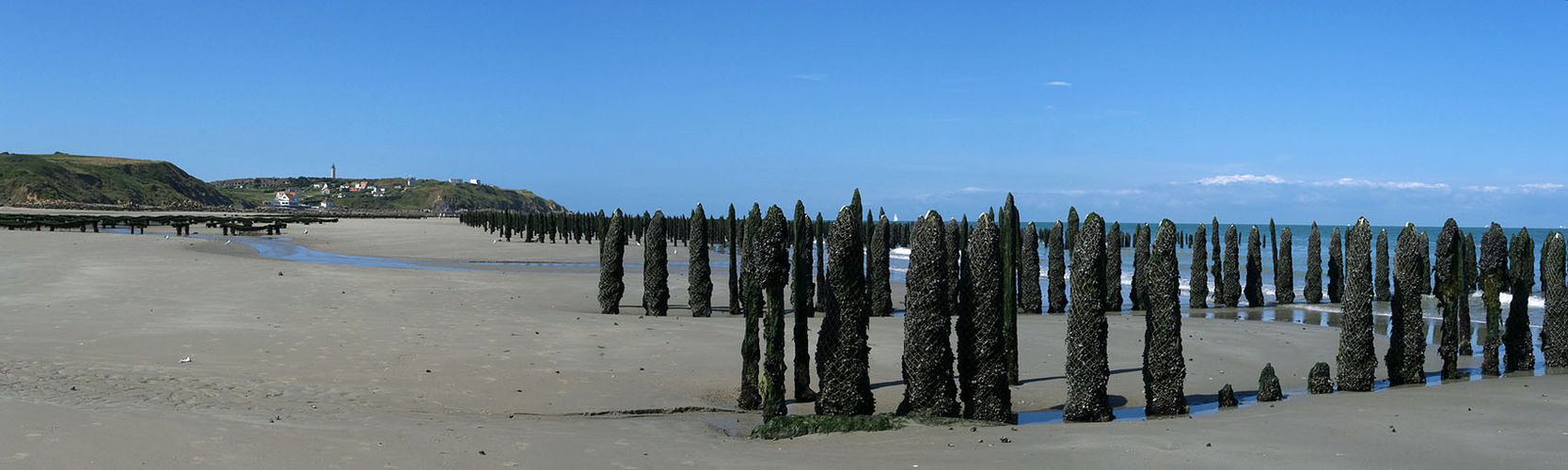 Pieux à moules au cap Gris-Nez