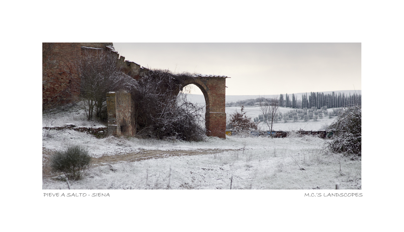 PIEVE A SALTO - SIENA