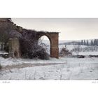 PIEVE A SALTO - SIENA