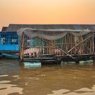 Pig breeding on floating pontoon on the Tonlé Sap lake