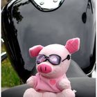 Pig on Bike
