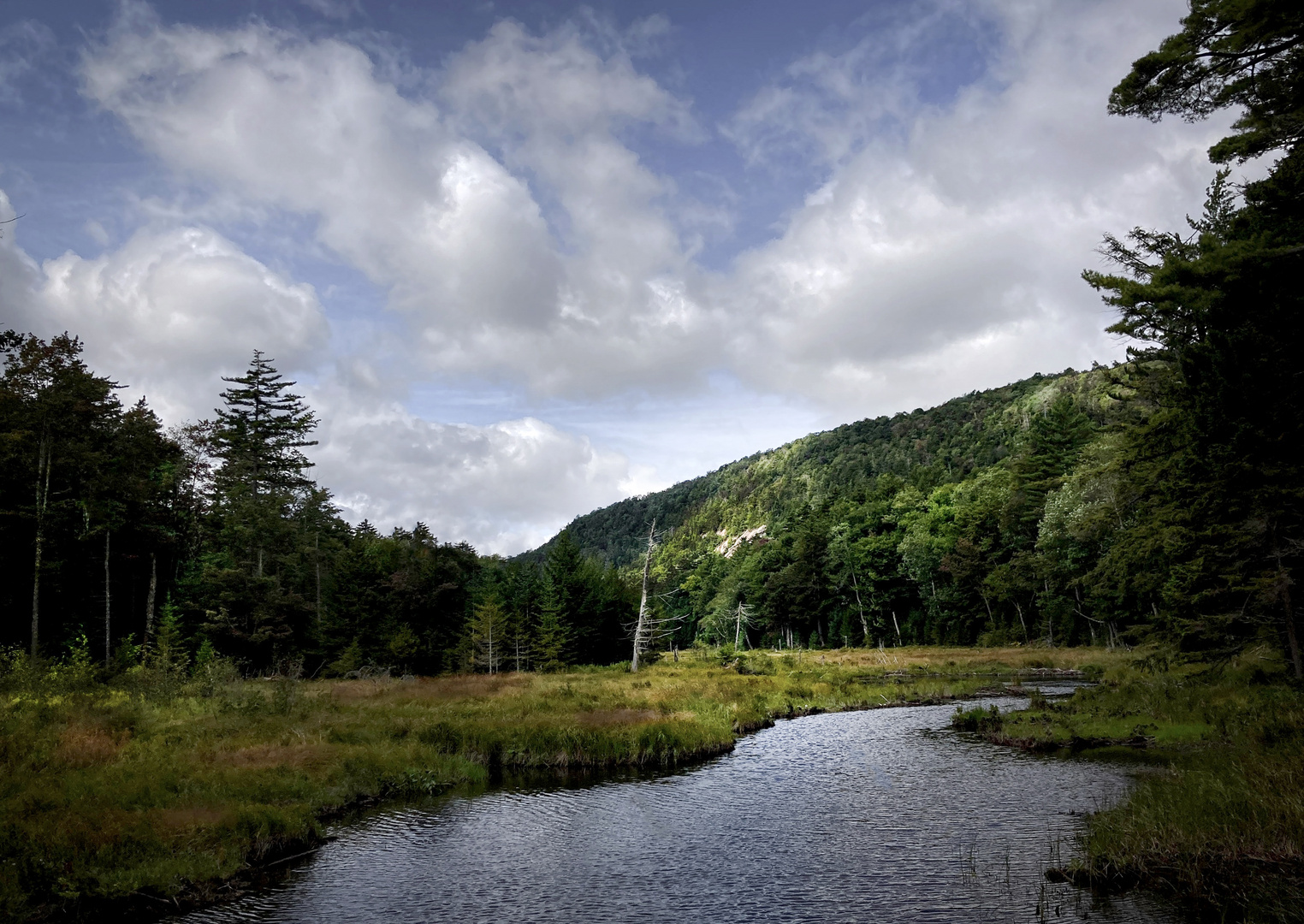 Pigeon Lake Wilderness Area | Adirondack Park | New York