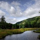 Pigeon Lake Wilderness Area | Adirondack Park | New York