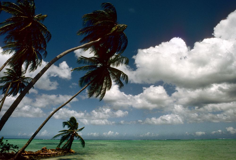 Pigeon Point der schönste Strand auf Tobago