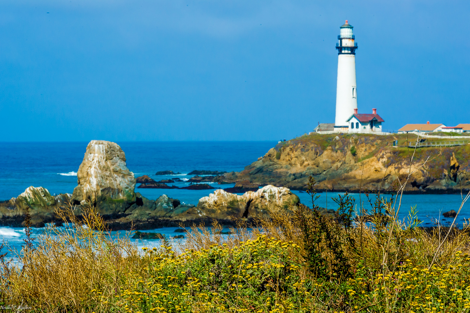 Pigeon Point Leuchtturm