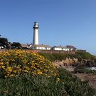 Pigeon Point Lighthouse (1)