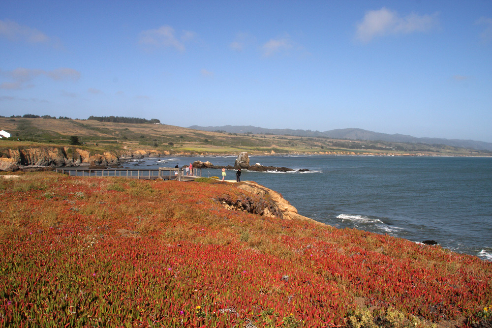 Pigeon Point Lighthouse (3)