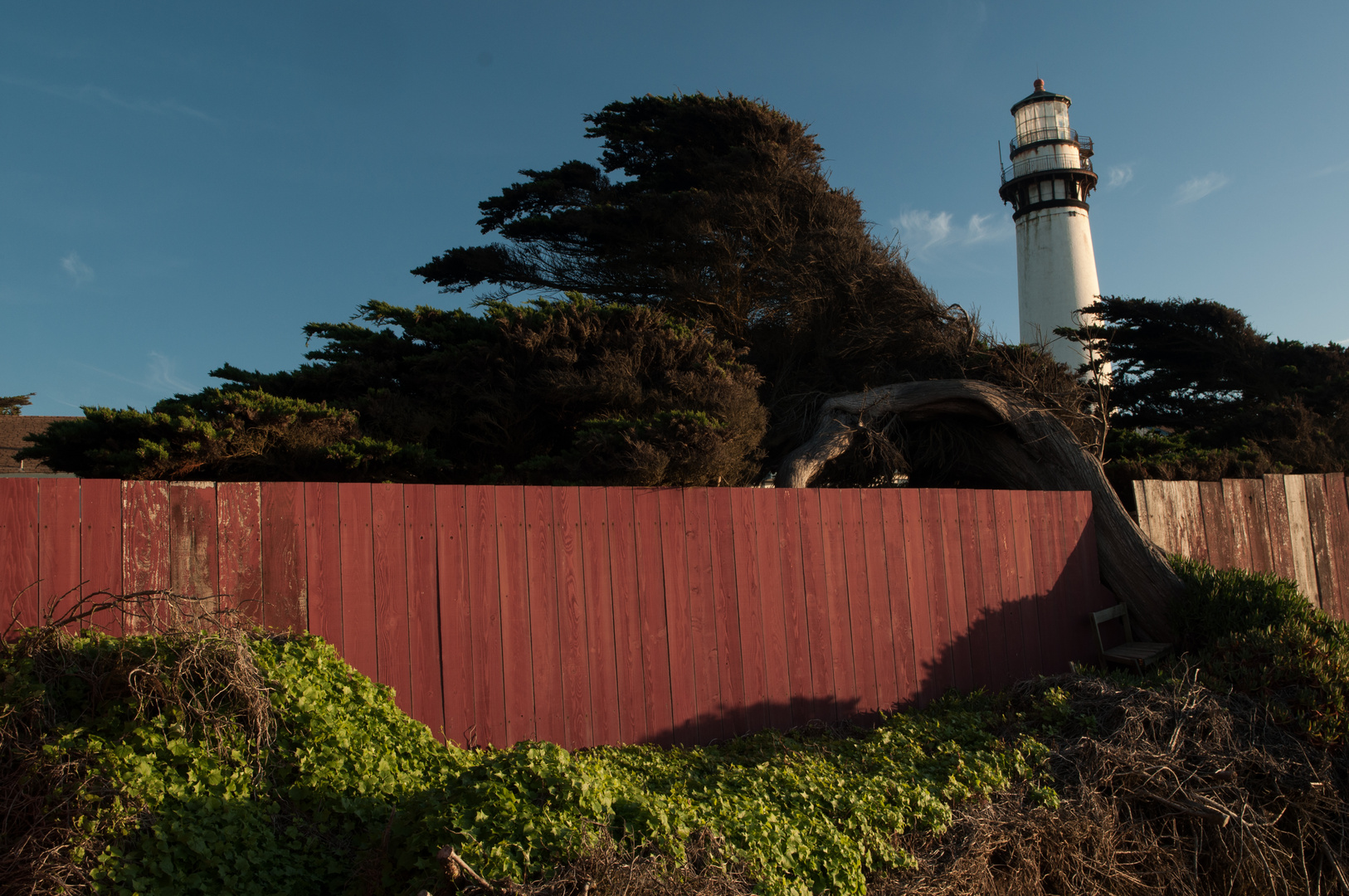 Pigeon Point lighthouse