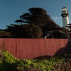 Pigeon Point lighthouse