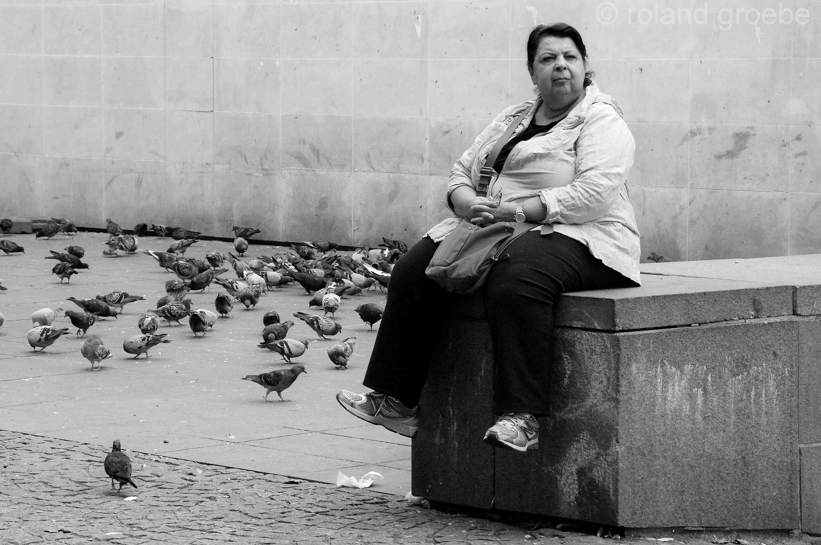 pigeon watching