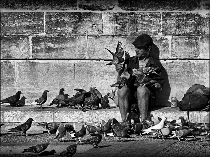 pigeonman