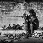 pigeonman