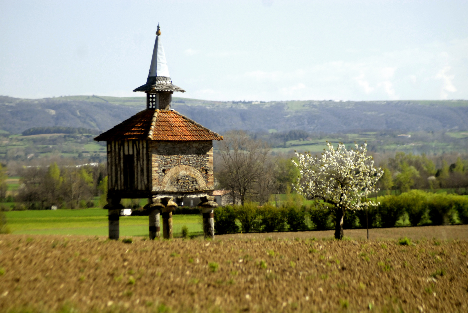 pigeonnier dans le Tarn