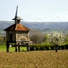 pigeonnier dans le Tarn