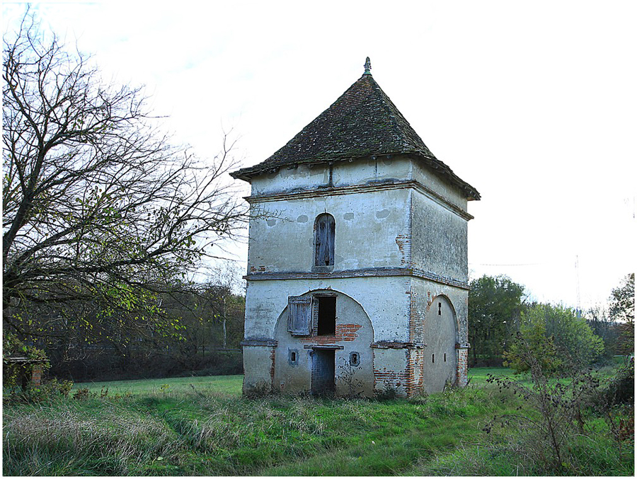 PIGEONNIER DU TARN