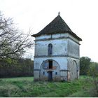 PIGEONNIER DU TARN