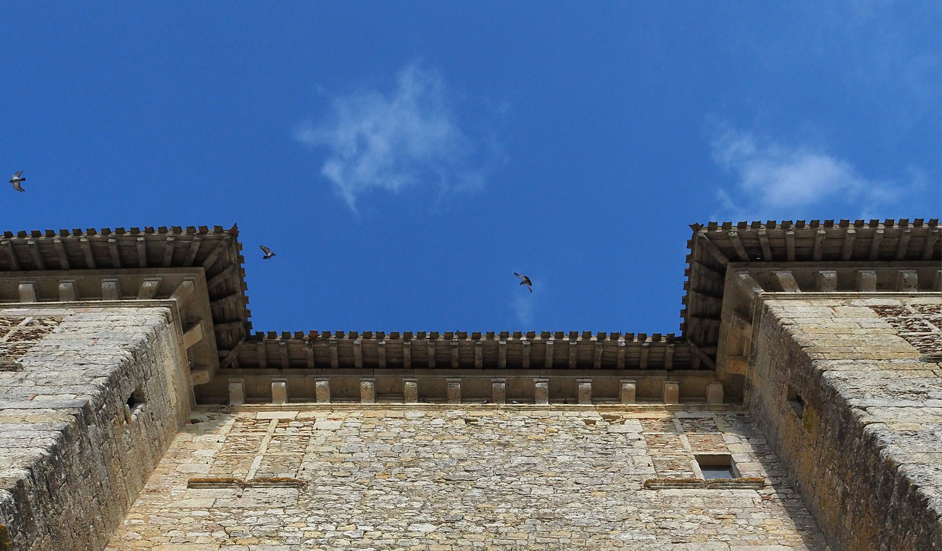 Pigeons dans le ciel, mais corbeaux sur les murs