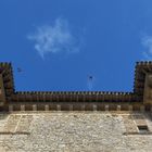 Pigeons dans le ciel, mais corbeaux sur les murs