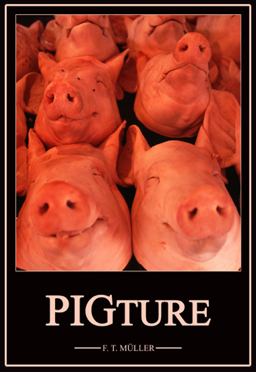 Pigture