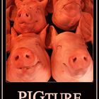 Pigture