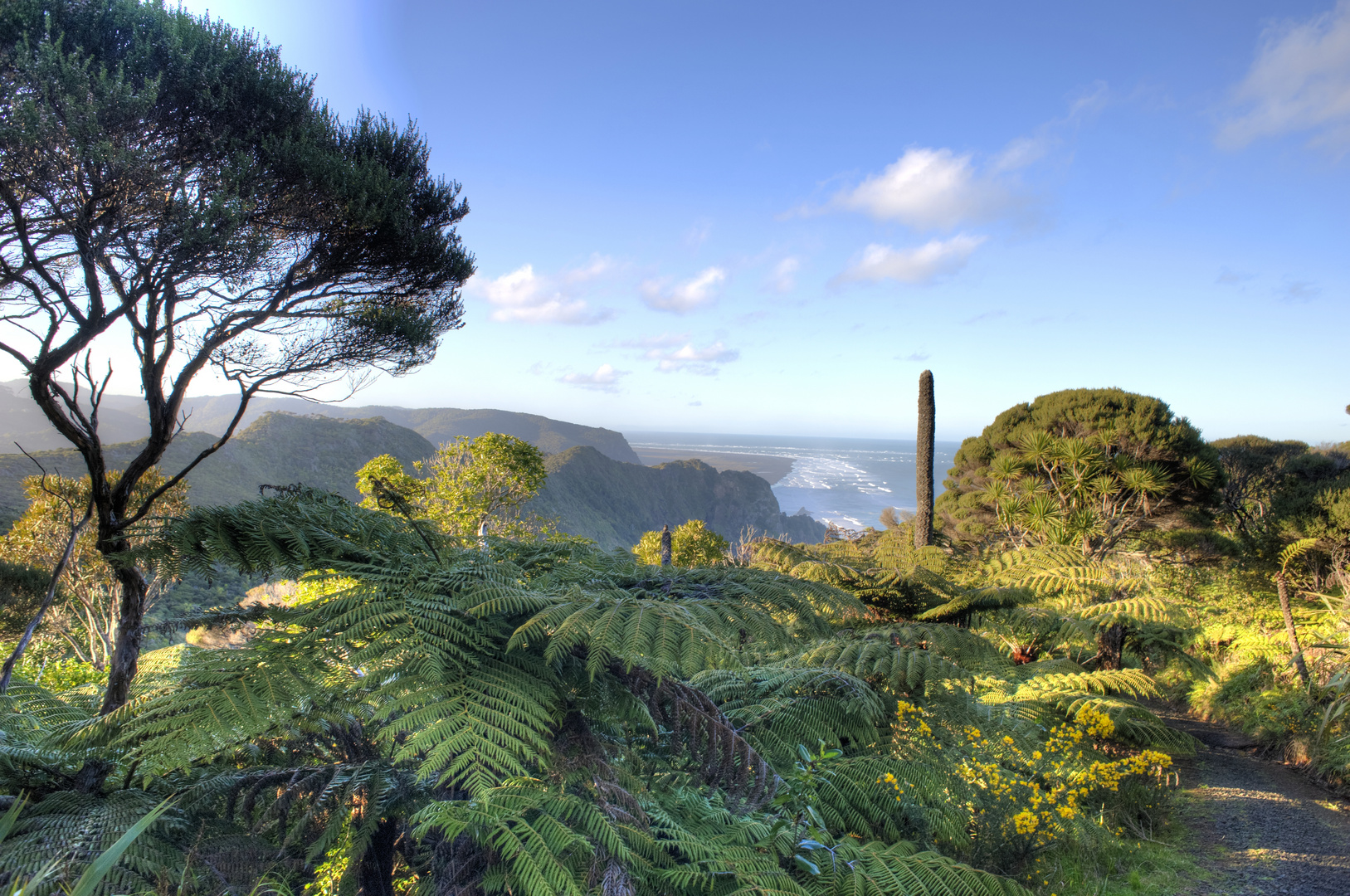 Piha