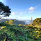 Piha