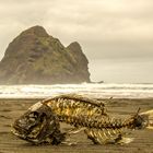 Piha Beach