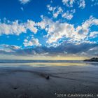 Piha Beach