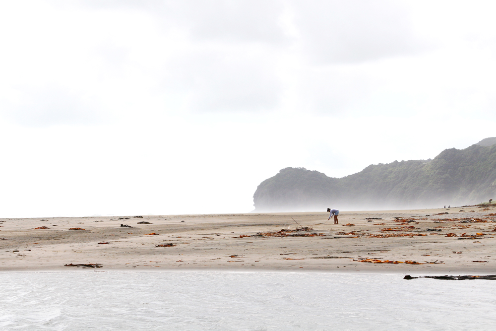 Piha Beach bei Auckland in New Zealand