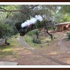 Piiiiiii.......Piiiiiiiii, CIRCULACION TREN, PARC L'ORENETA. BCN.